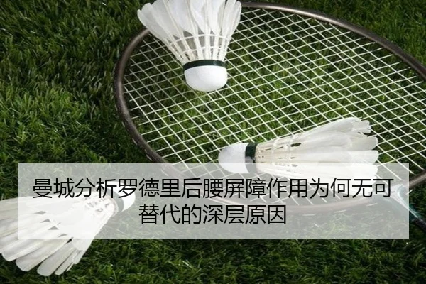 曼城分析罗德里后腰屏障作用为何无可替代的深层原因 - leyu